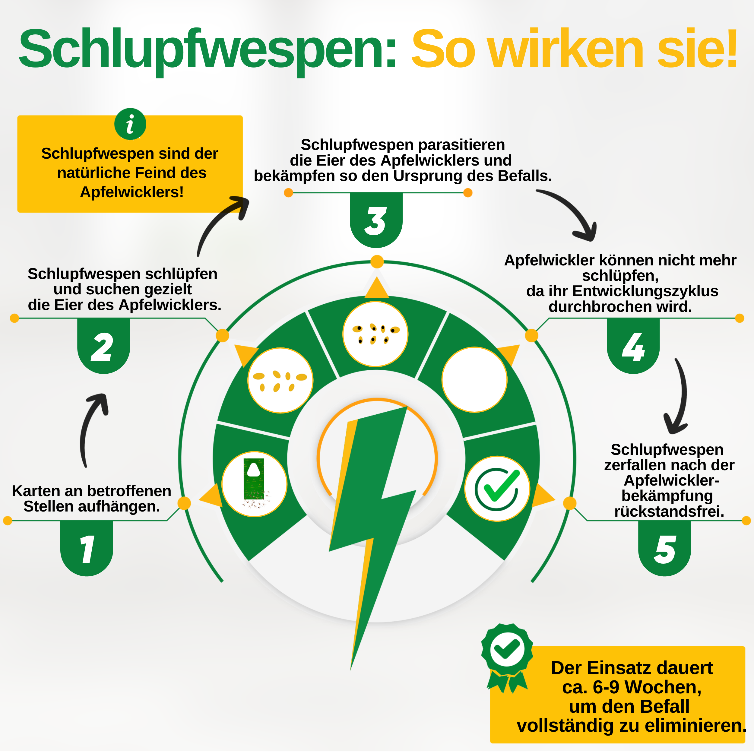 Parasitaire wespen tegen fruitmotten