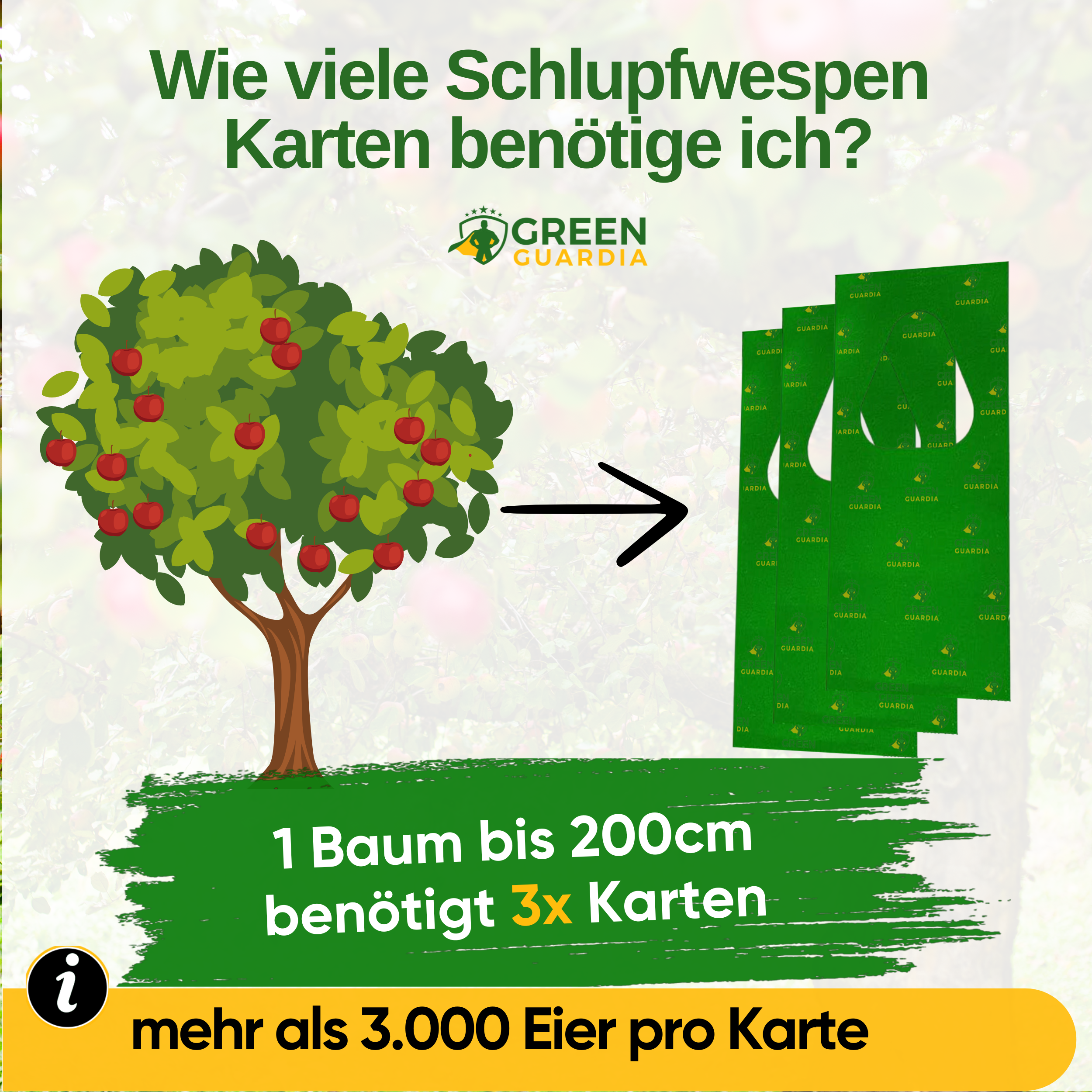 Parasitaire wespen tegen fruitmotten