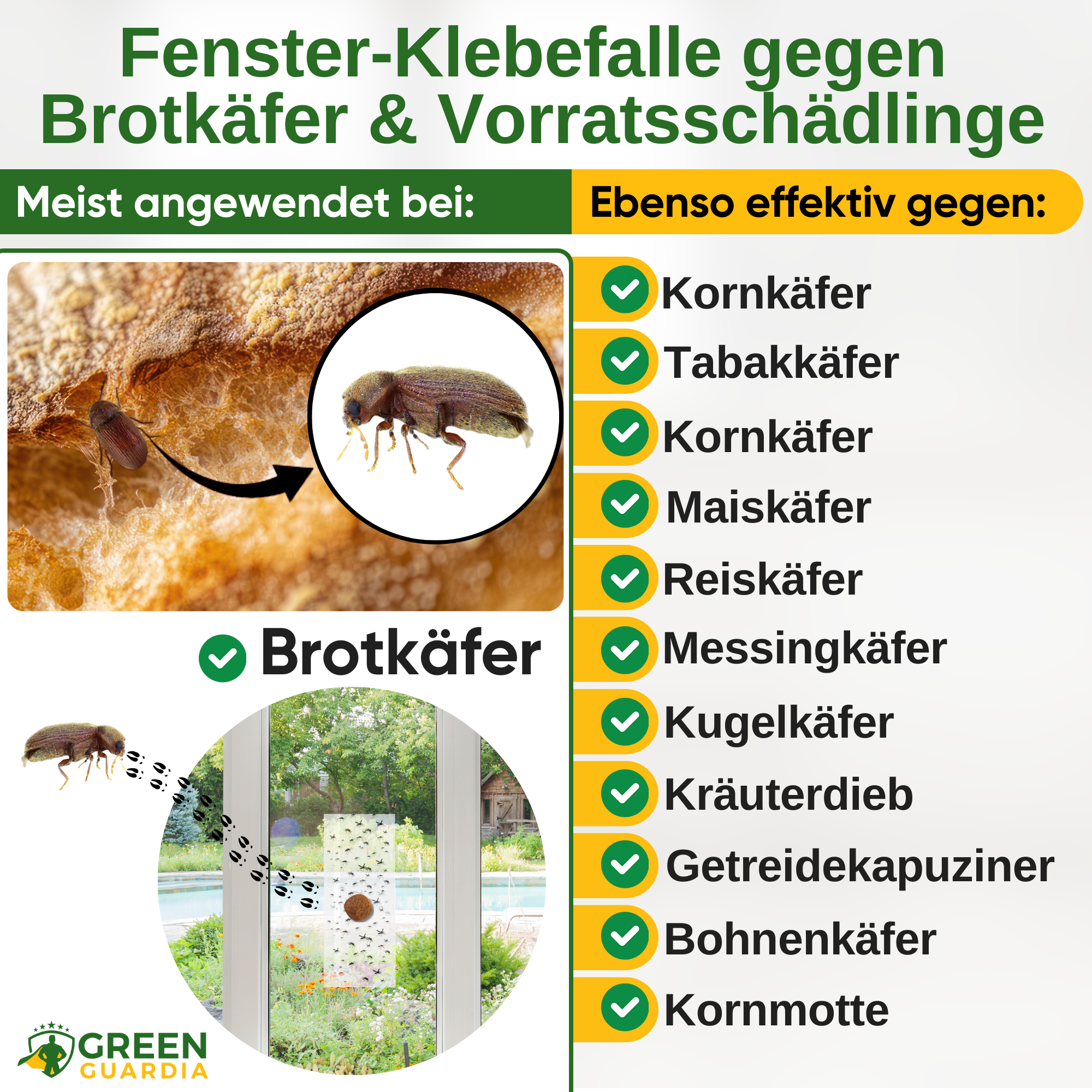 Broodkever raamval met speciaal lokmiddel