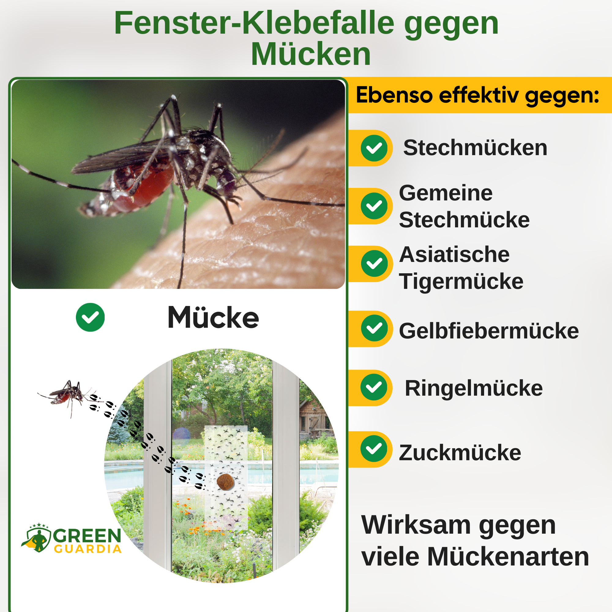 Muggenraamval met speciaal lokmiddel