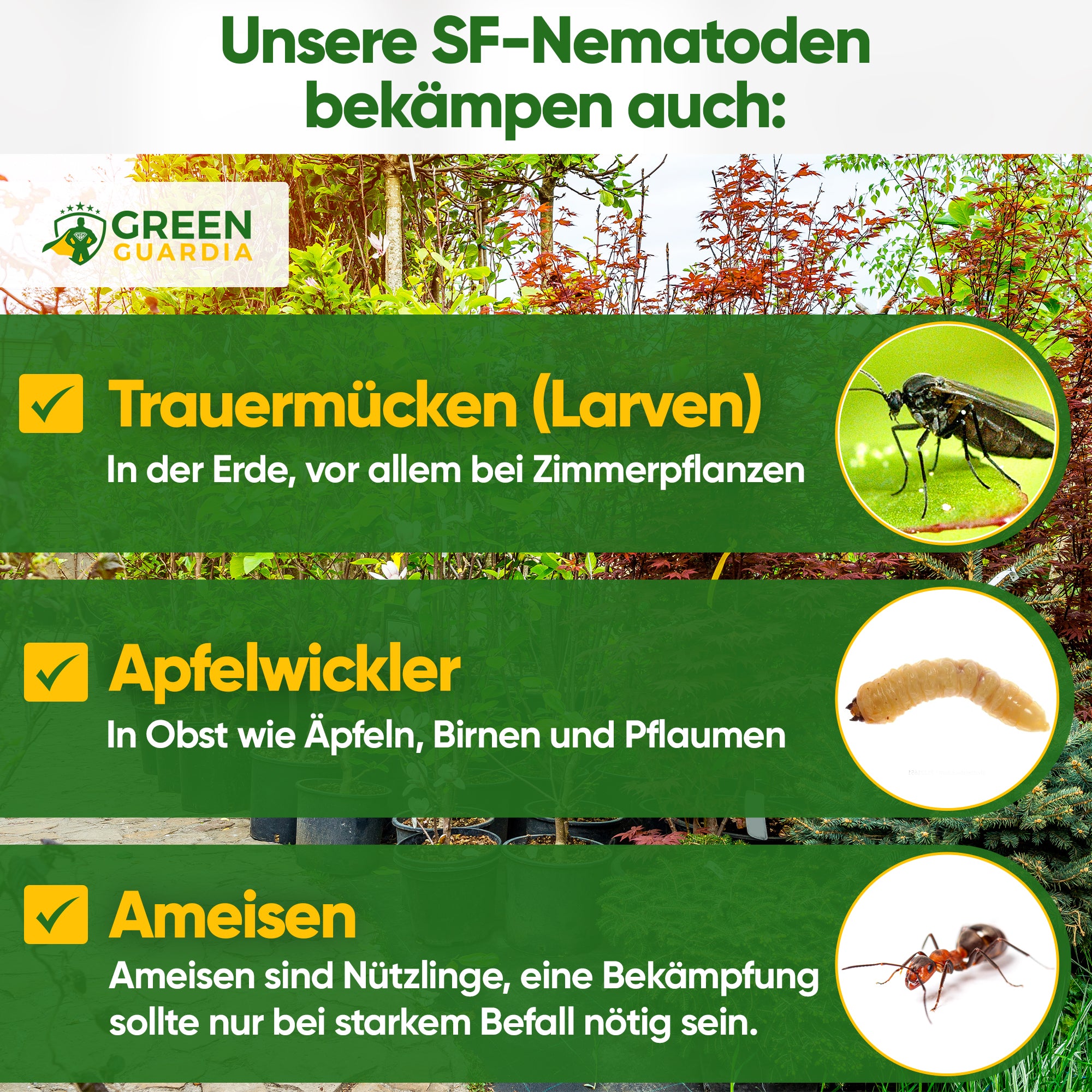 SF nematodes against fungus gnats, codling moths & ants