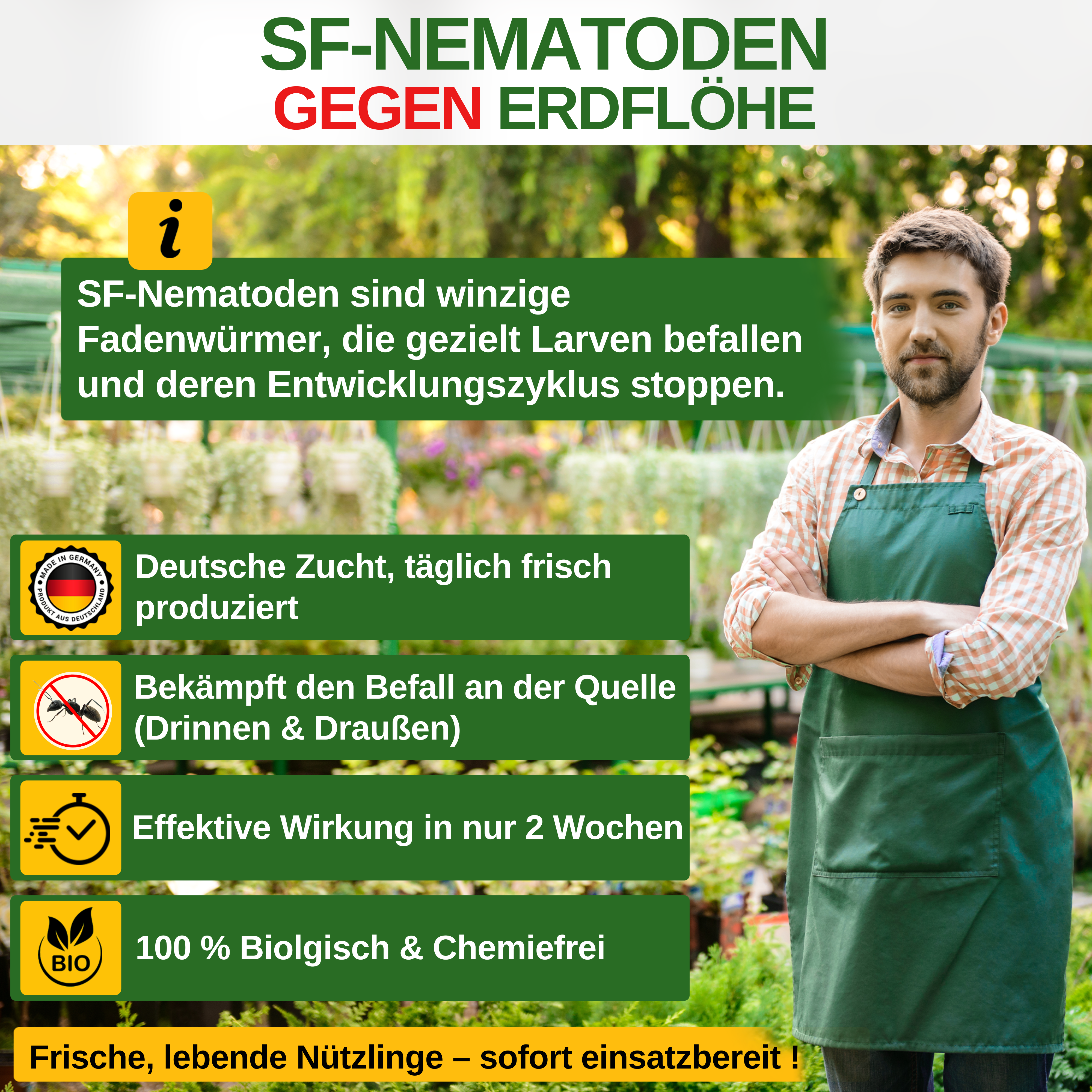 SF-nematoden tegen aardvlooien