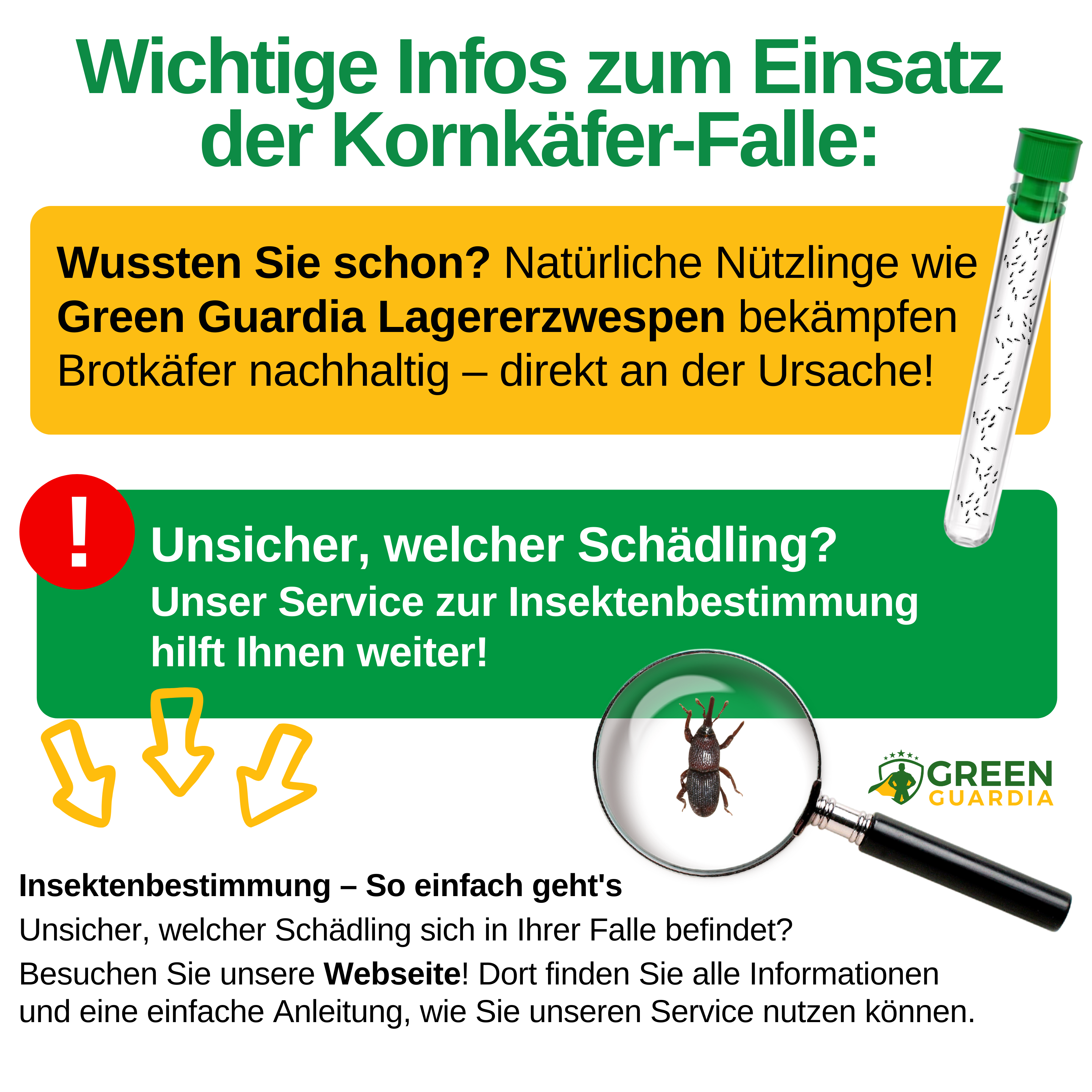 Grain beetle trap with pheromone attractant