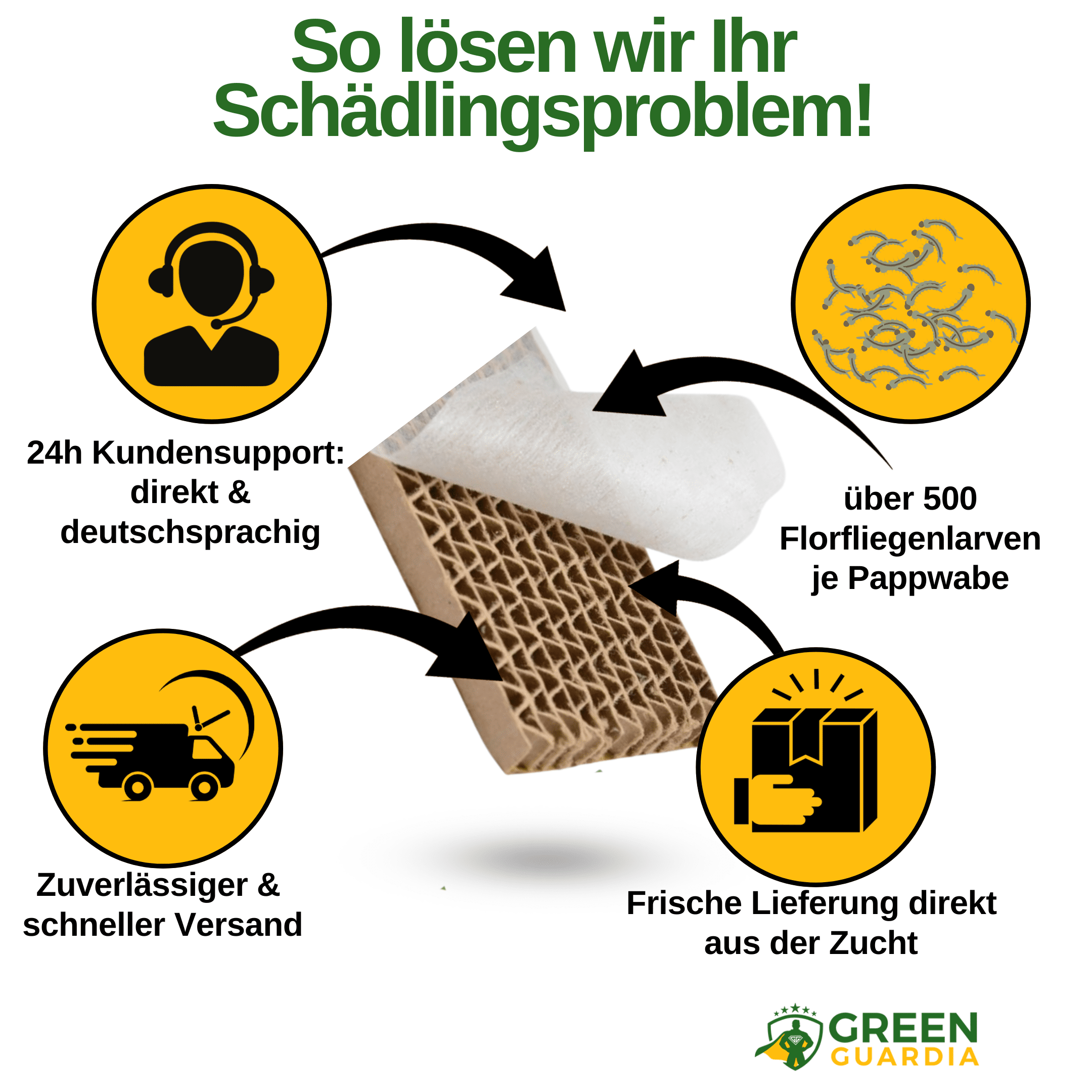 Florfliegenlarven gegen Blattläuse und Wollläuse - Green Guardia - Ihr Experte für Schädlinge und Pflanzen