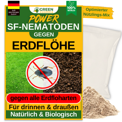 SF-nematoden tegen aardvlooien