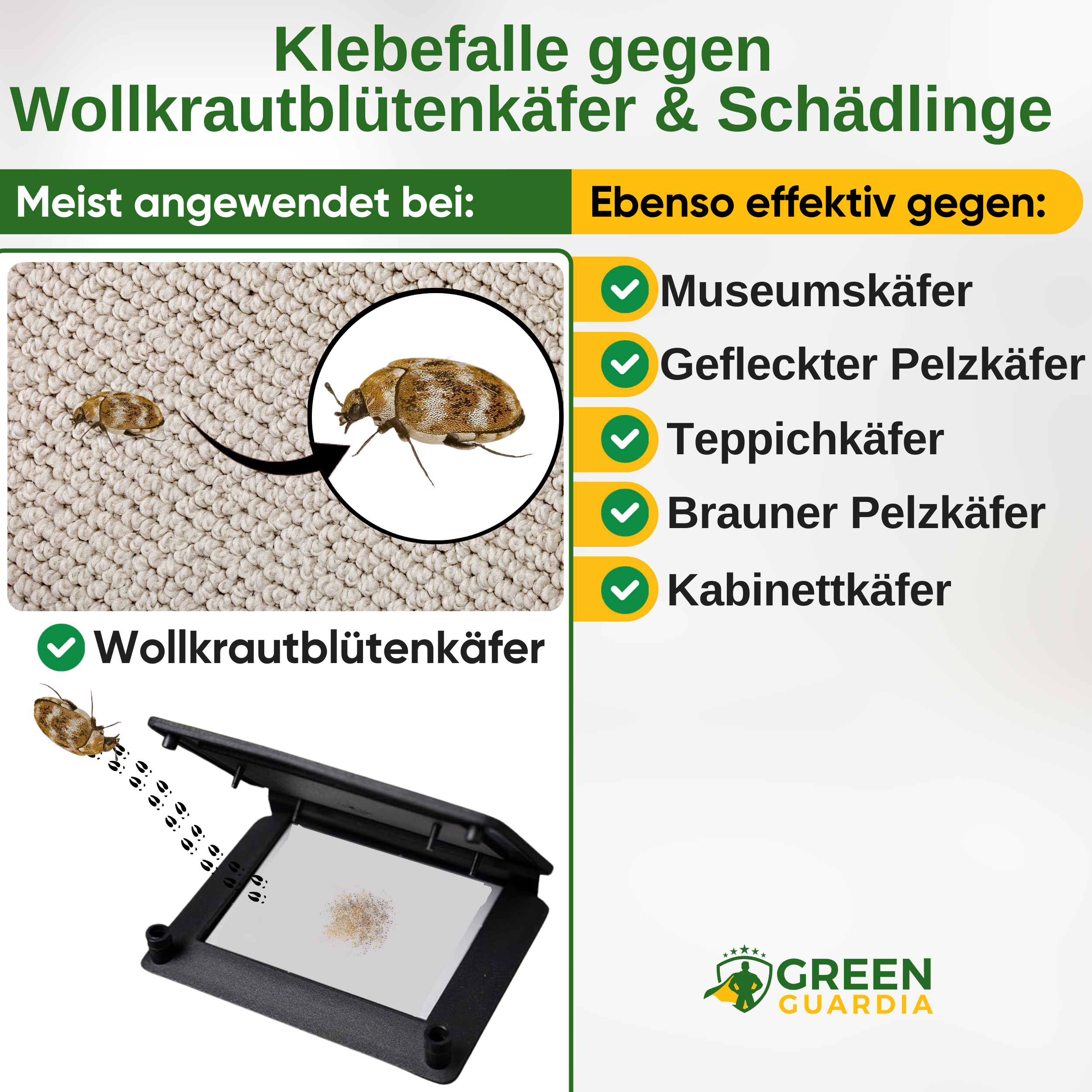 Woolly aphid beetle trap with pheromone attractant 