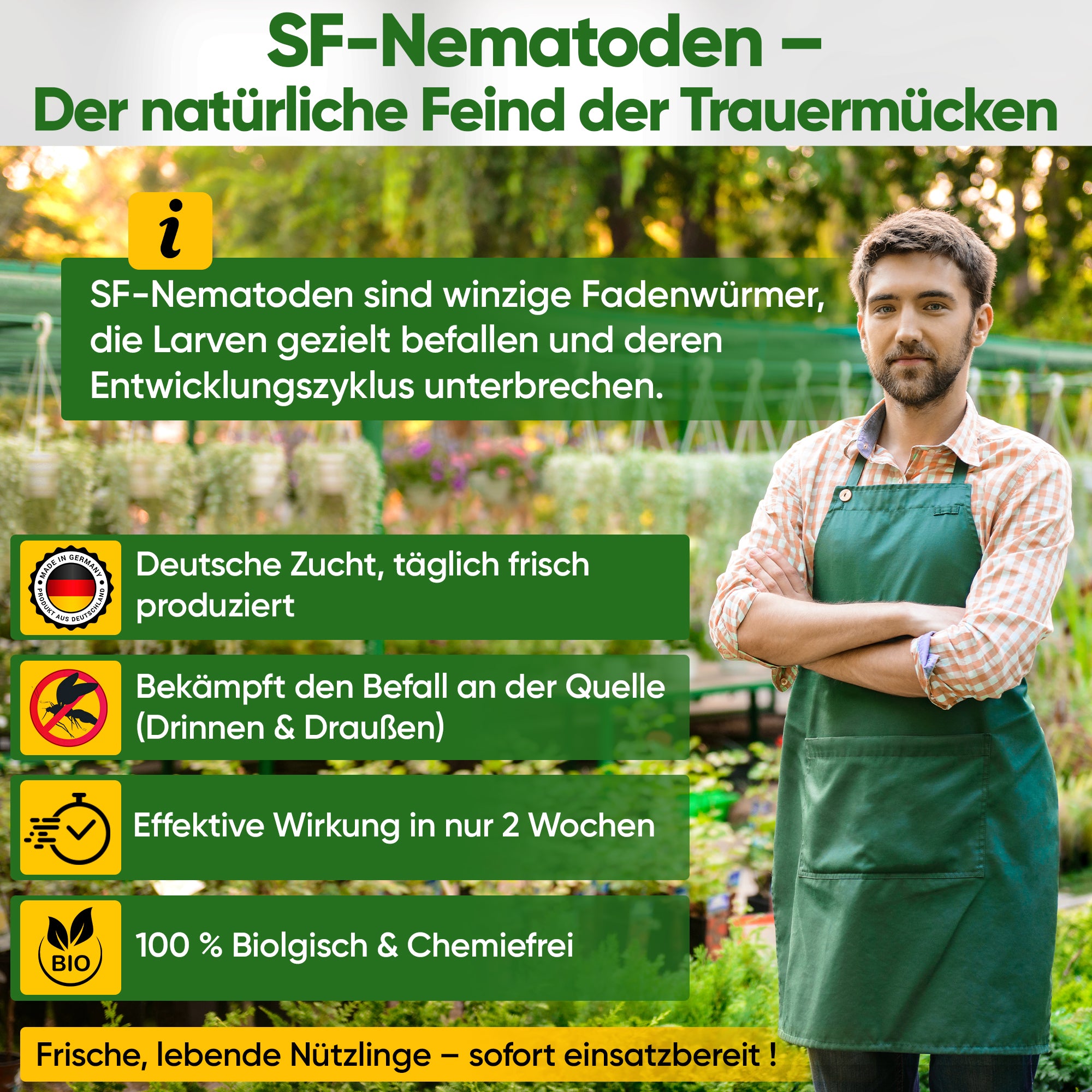 SF nematodes against fungus gnats, codling moths &amp; ants 