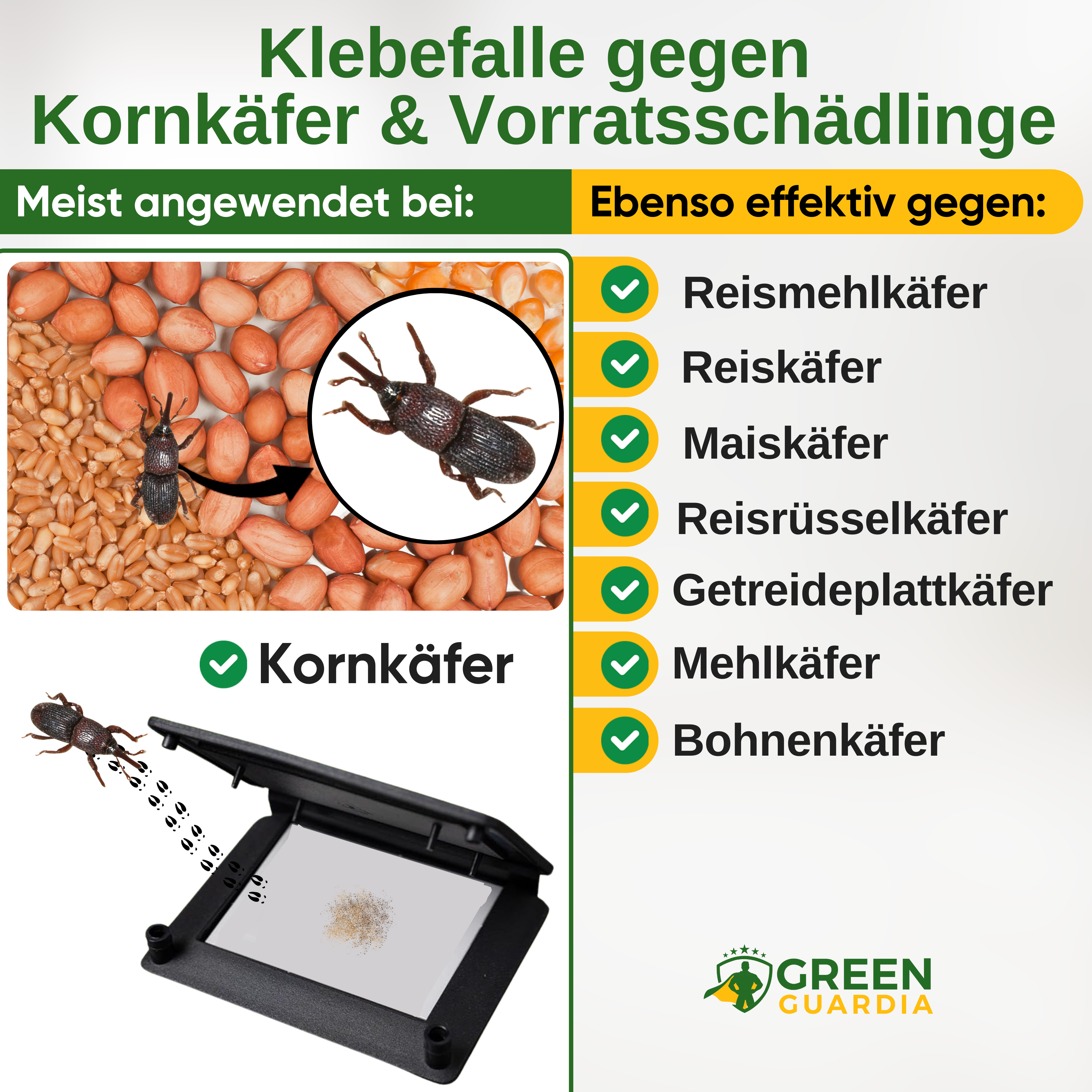 Grain beetle trap with pheromone attractant 