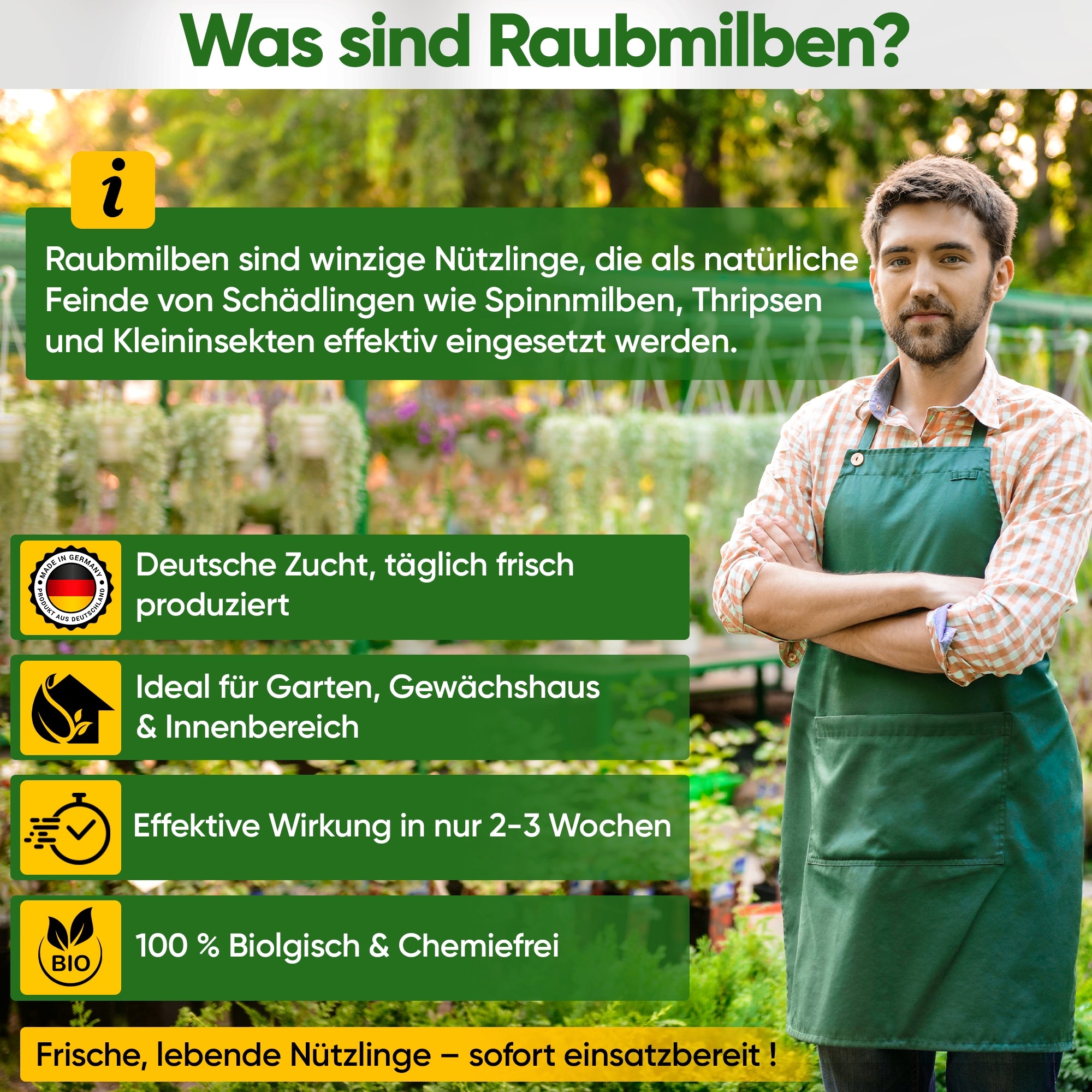Roofmijtenmix tegen trips en spint – los product