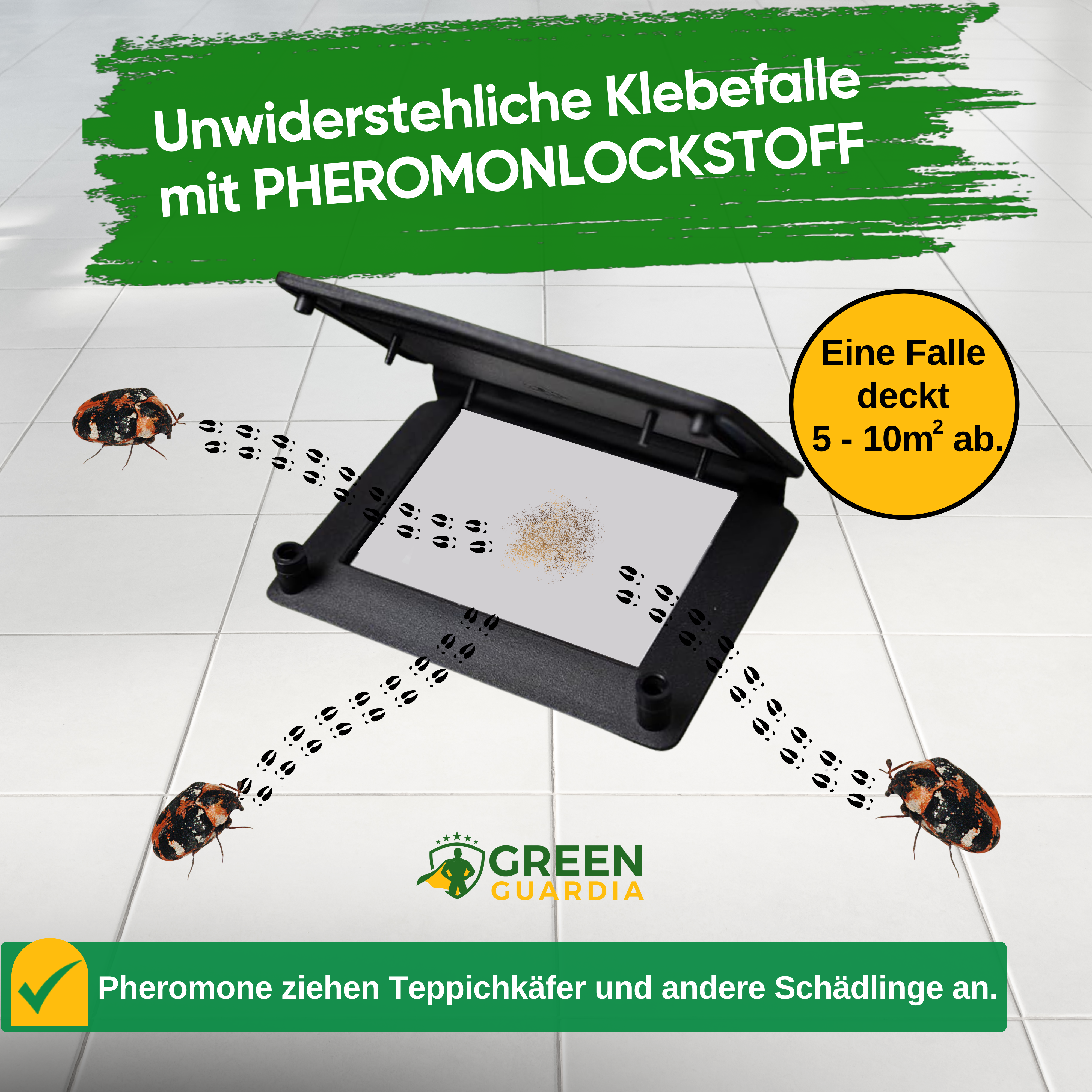 Teppichkäfer Falle mit Pheromon-Lockstoff