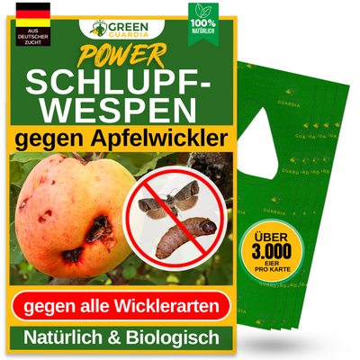 Parasitaire wespen tegen fruitmotten