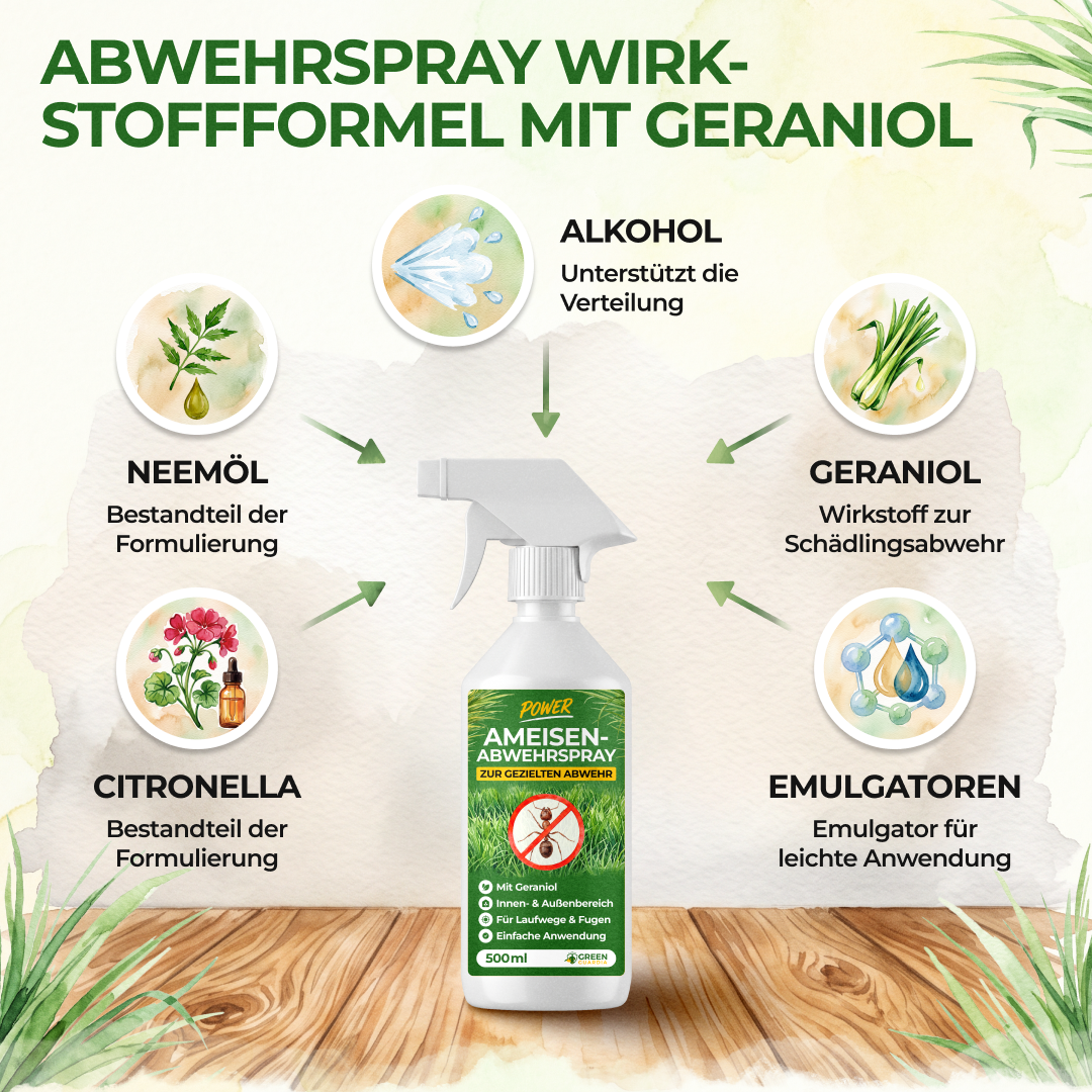 Ameisen Abwehrspray Power-Konzentrat - 500ml