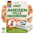 Ameisen Falle