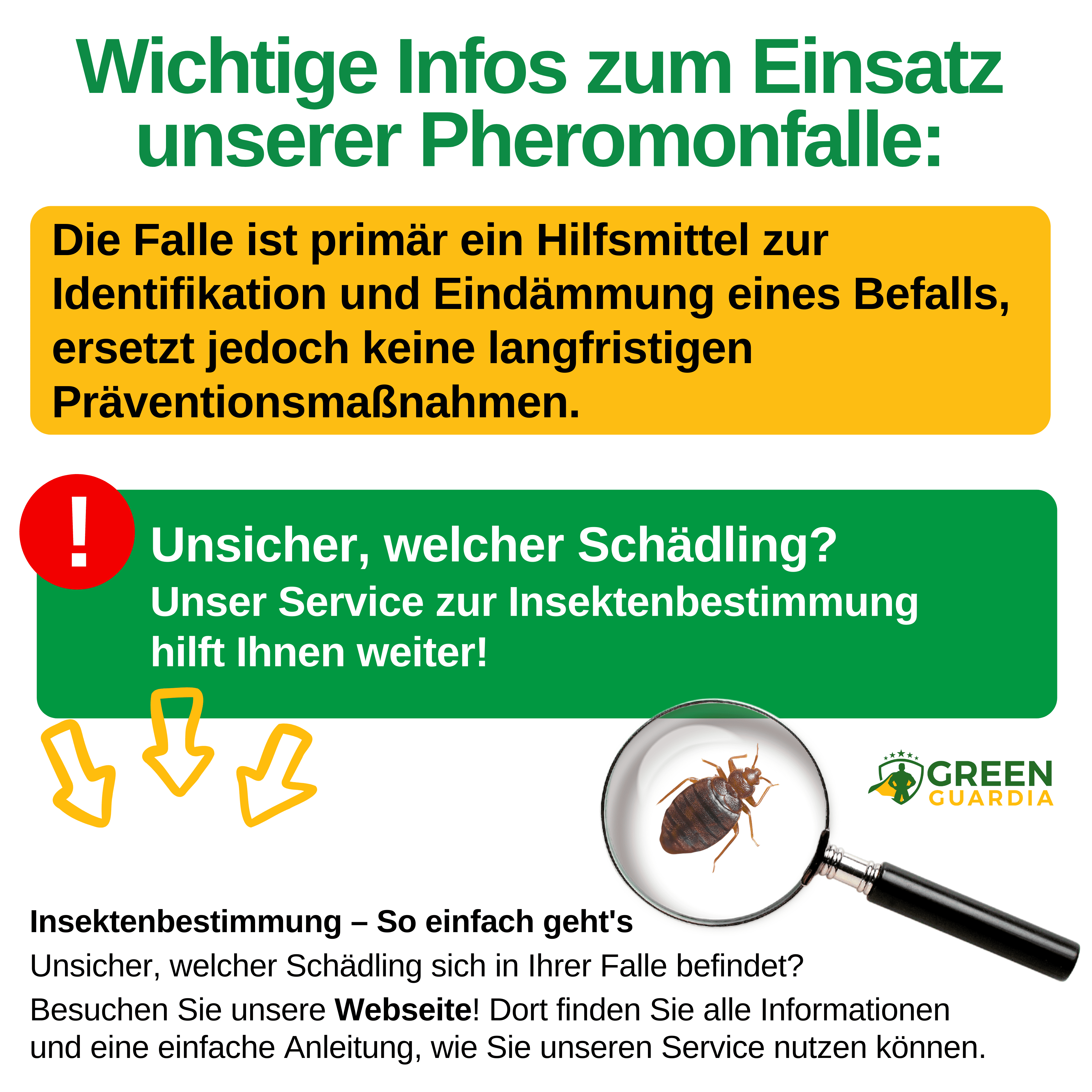 Bettwanzen Falle mit Pheromon - Lockstoff - Green Guardia - Ihr Experte für Schädlinge und Pflanzen