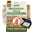 Bread beetle trap