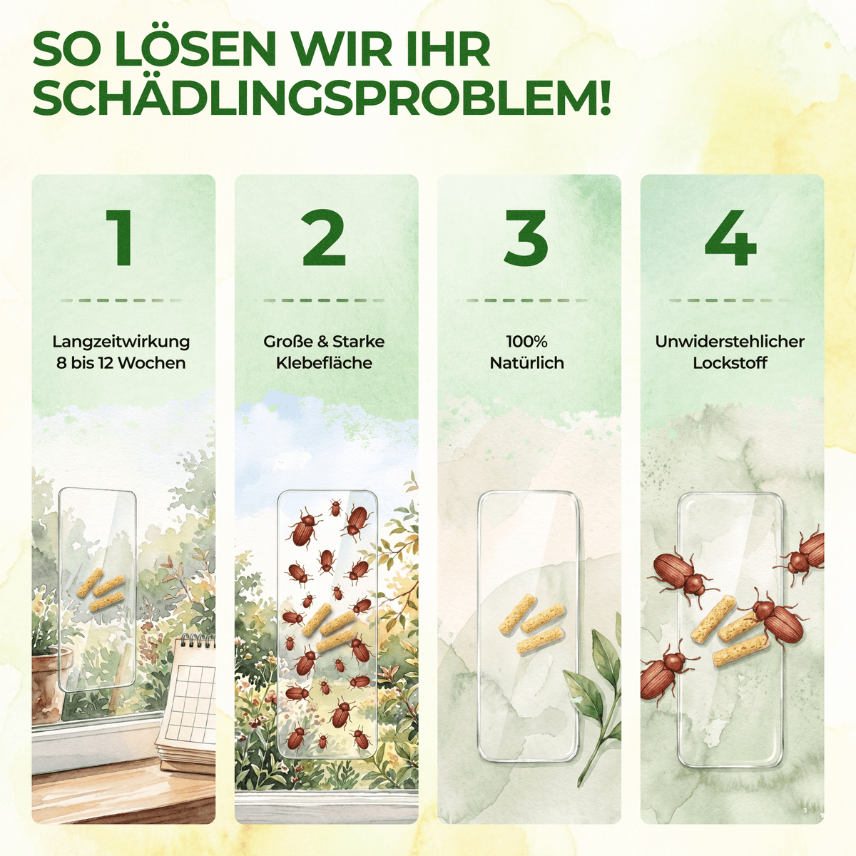 Brotkäfer Fenster-Falle - Green Guardia - Ihr Experte für Schädlinge und Pflanzen