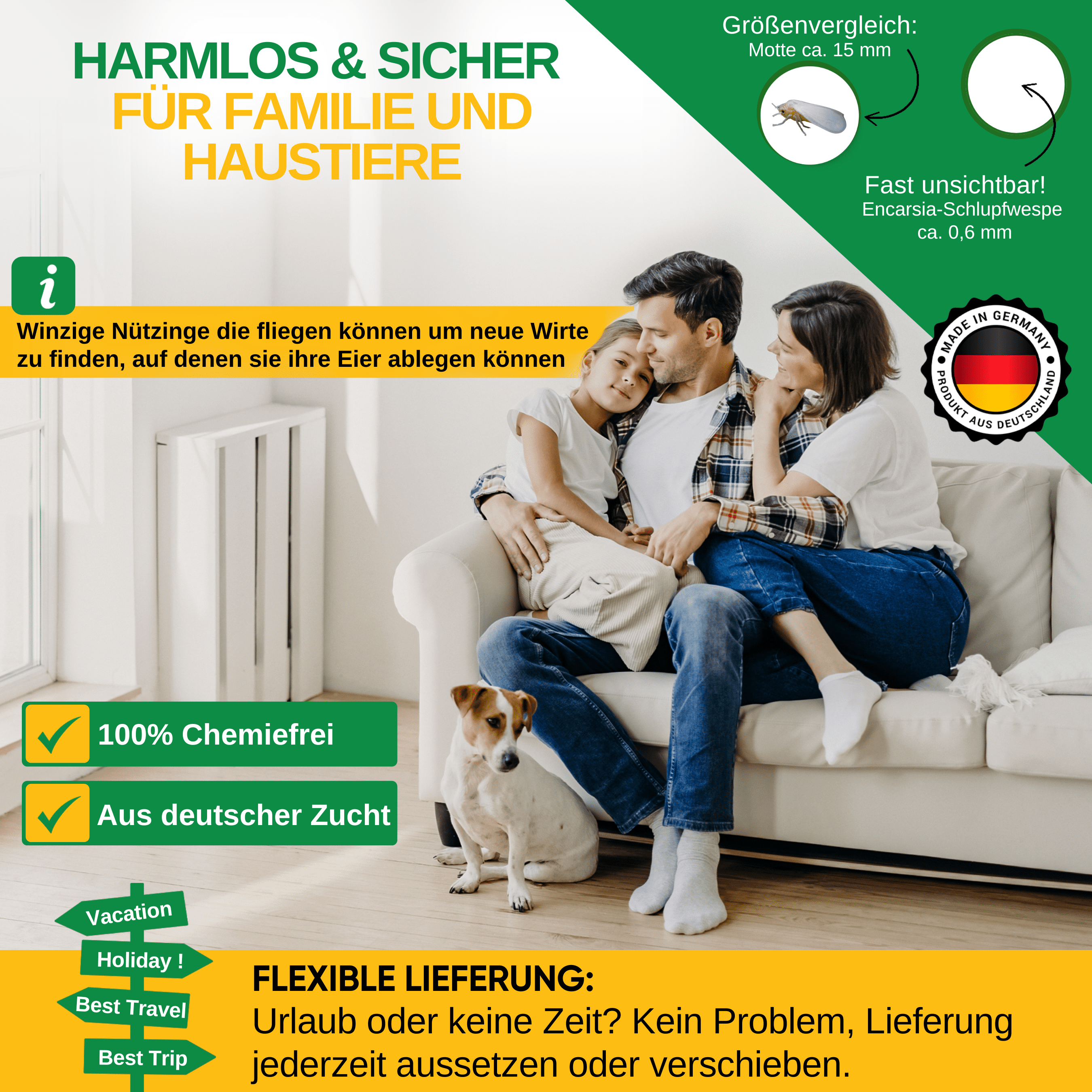 Encarsia - Schlupfwespen gegen Weiße Fliegen - Green Guardia - Ihr Experte für Schädlinge und Pflanzen