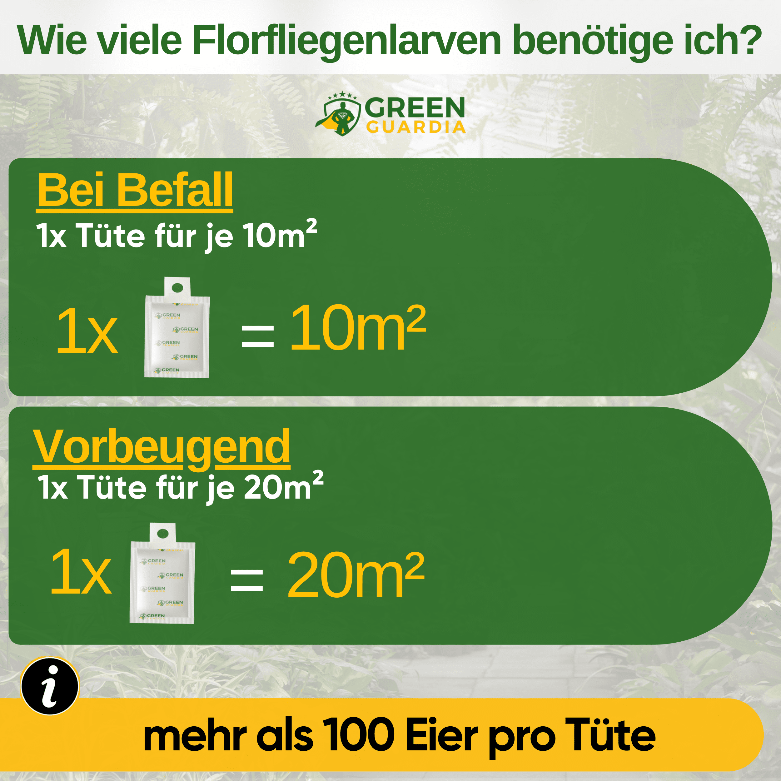Florfliegenlarven - Eier gegen Blattläuse, Wollläuse zum Aufhängen oder Streuen - Green Guardia - Ihr Experte für Schädlinge und Pflanzen