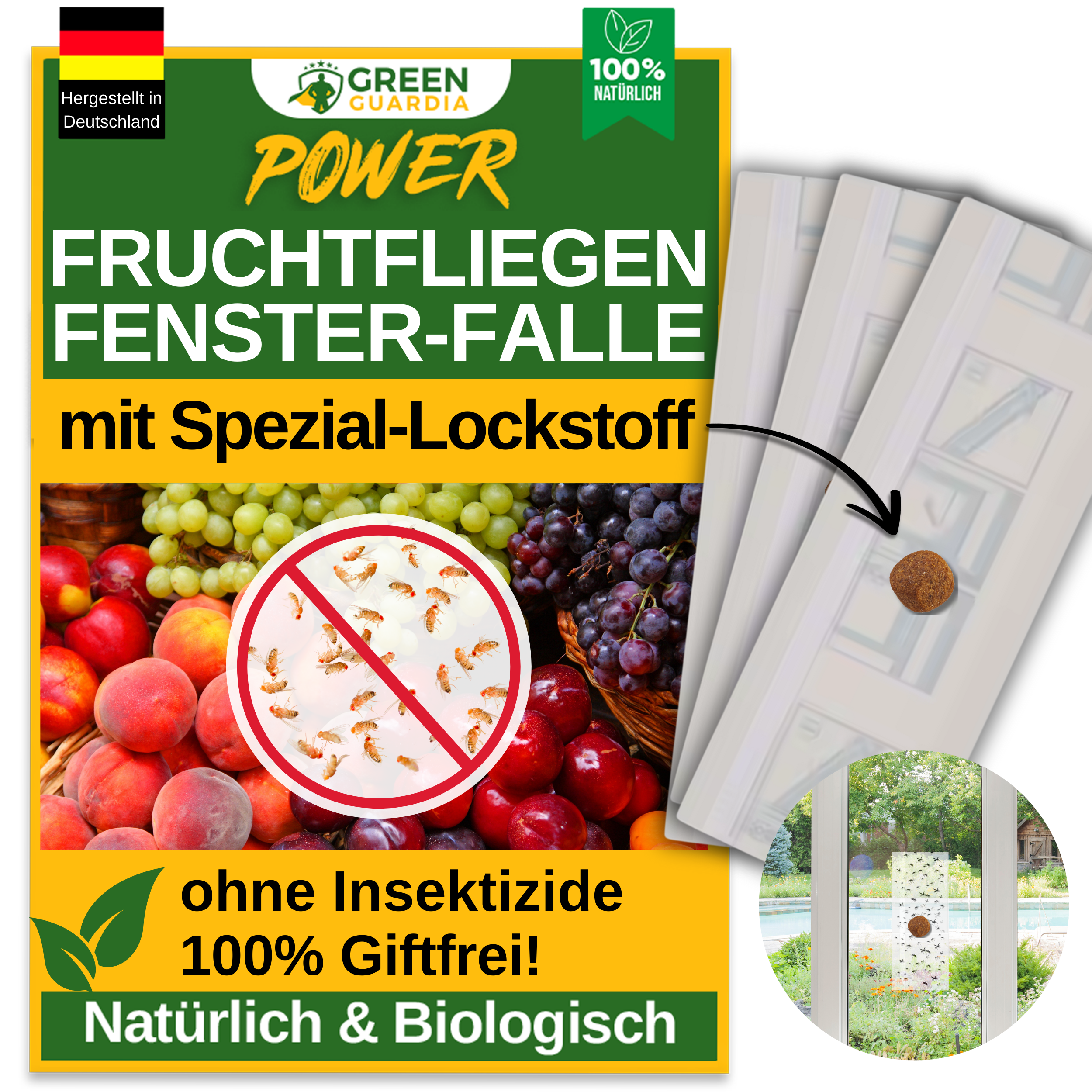 Fruchtfliegen Fenster-Falle mit Spezial - Lockstoff - Green Guardia - Ihr Experte für Schädlinge und Pflanzen