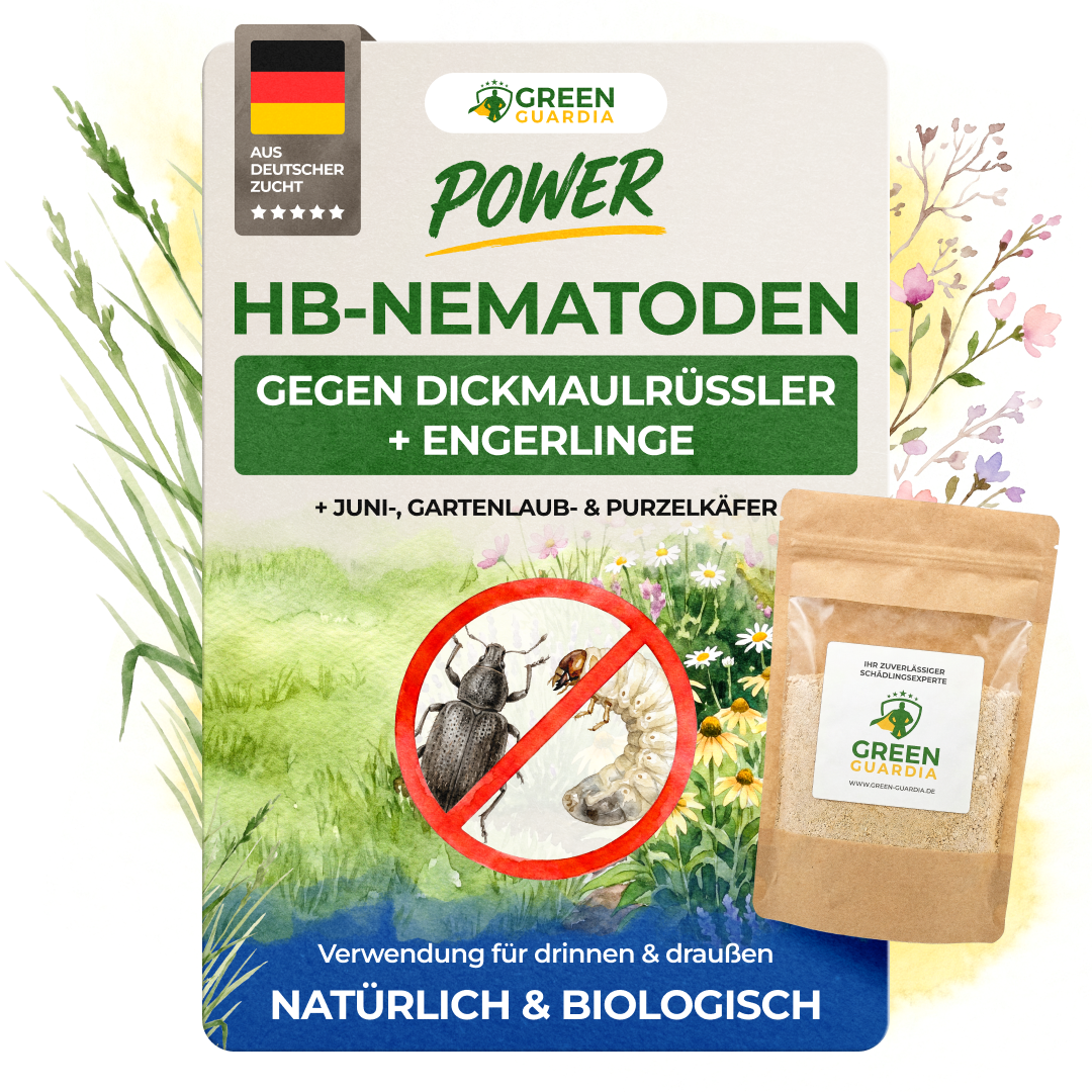 HB-Nematoden gegen Dickmaulrüssler & Engerlinge