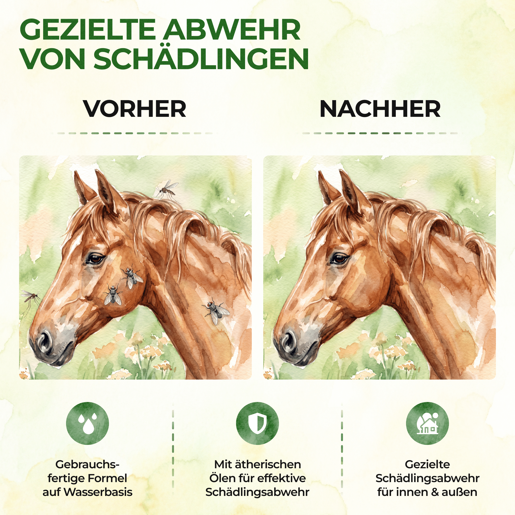 Insekten Abwehrspray Power-Konzentrat für Pferde - 500ml - Green Guardia - Ihr Experte für Schädlinge und Pflanzen