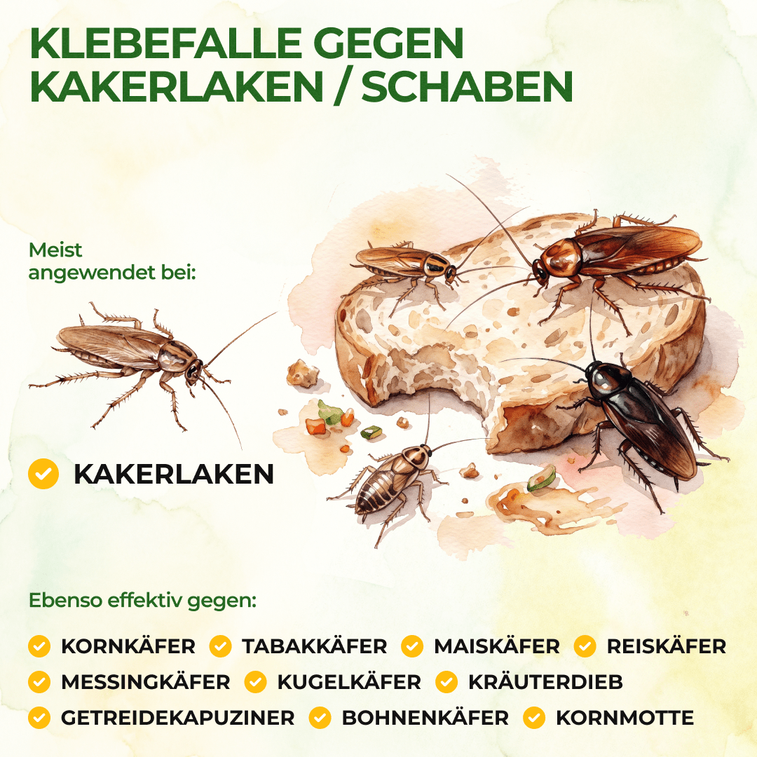 Kakerlaken / Schaben Falle - Green Guardia - Ihr Experte für Schädlinge und Pflanzen