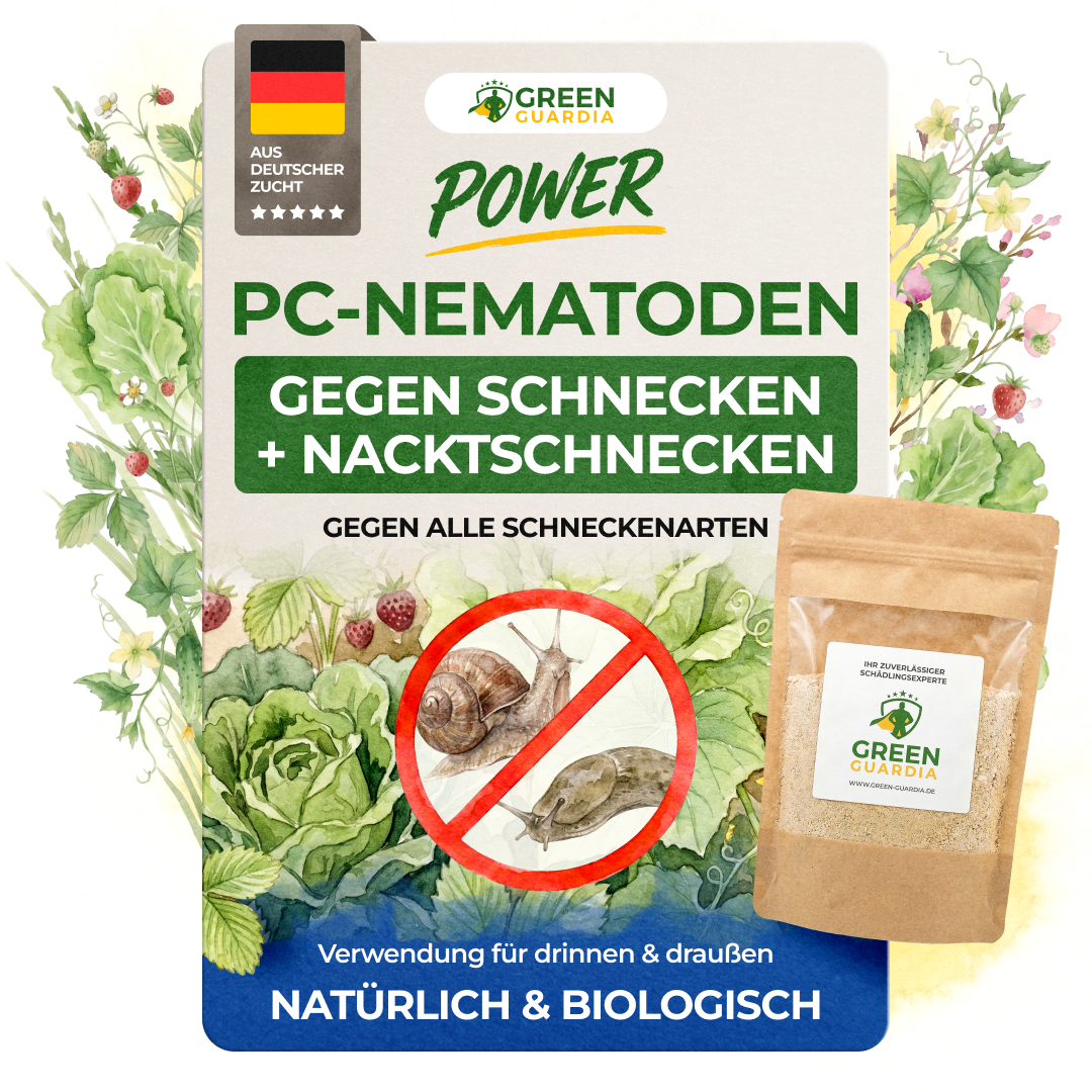 PC-Nematoden gegen Schnecken & Nacktschnecken