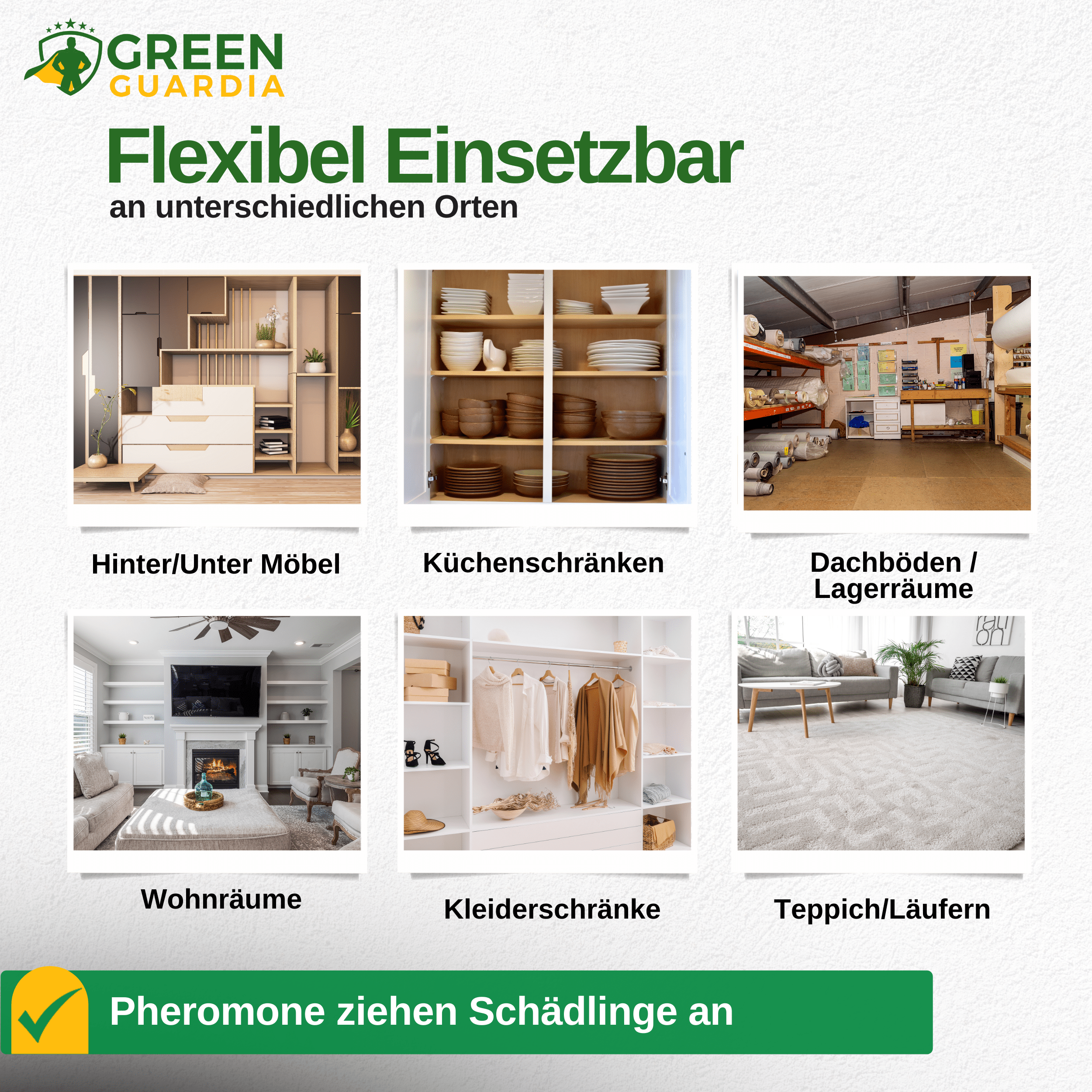 Pelzkäfer Falle mit Pheromon - Lockstoff - Green Guardia - Ihr Experte für Schädlinge und Pflanzen