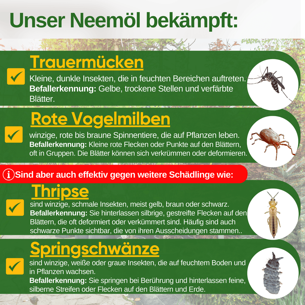 Power Neemöl gegen Trauermücken - Green Guardia - Ihr Experte für Schädlinge und Pflanzen