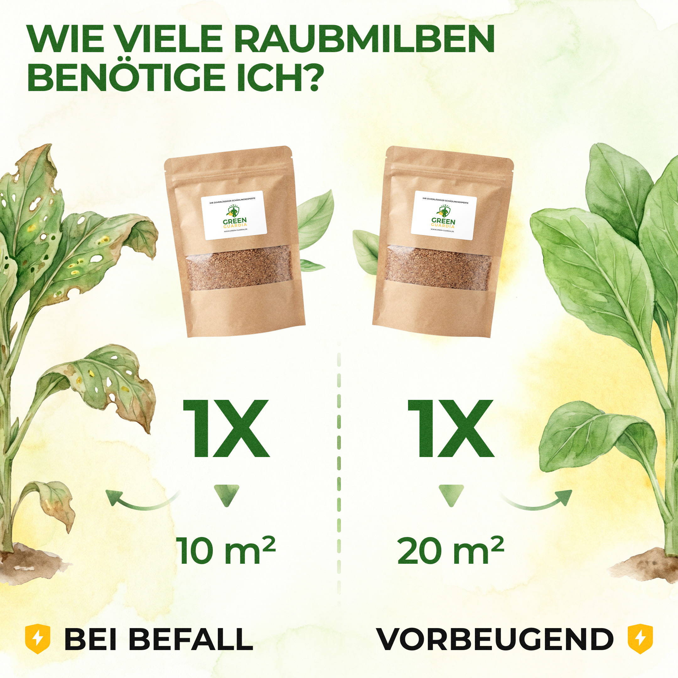 Roofmijten tegen spintmijten – los product