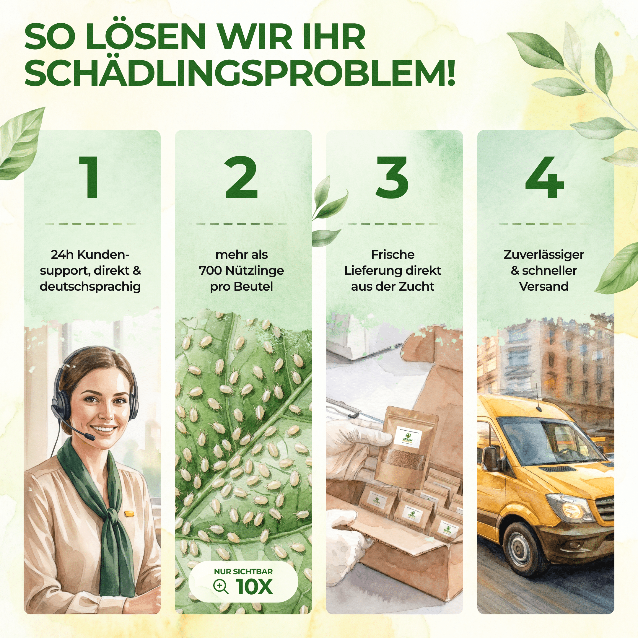 Raubmilben gegen Thripse - Green Guardia - Ihr Experte für Schädlinge und Pflanzen