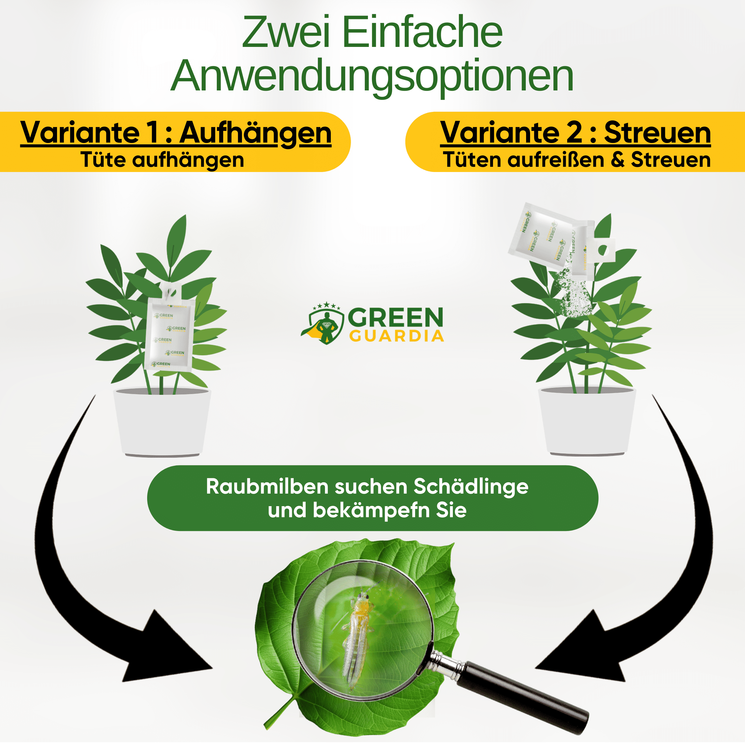 Raubmilben gegen Thripse zum Aufhängen oder Streuen - Green Guardia - Ihr Experte für Schädlinge und Pflanzen