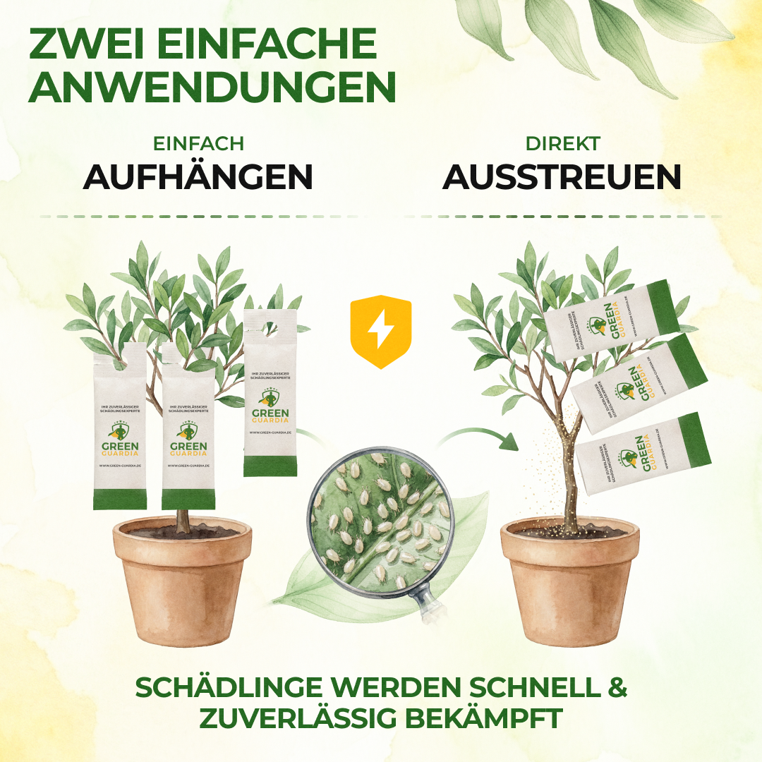 Raubmilben Trio gegen Thripse, Spinnmilben & Weiße Fliegen