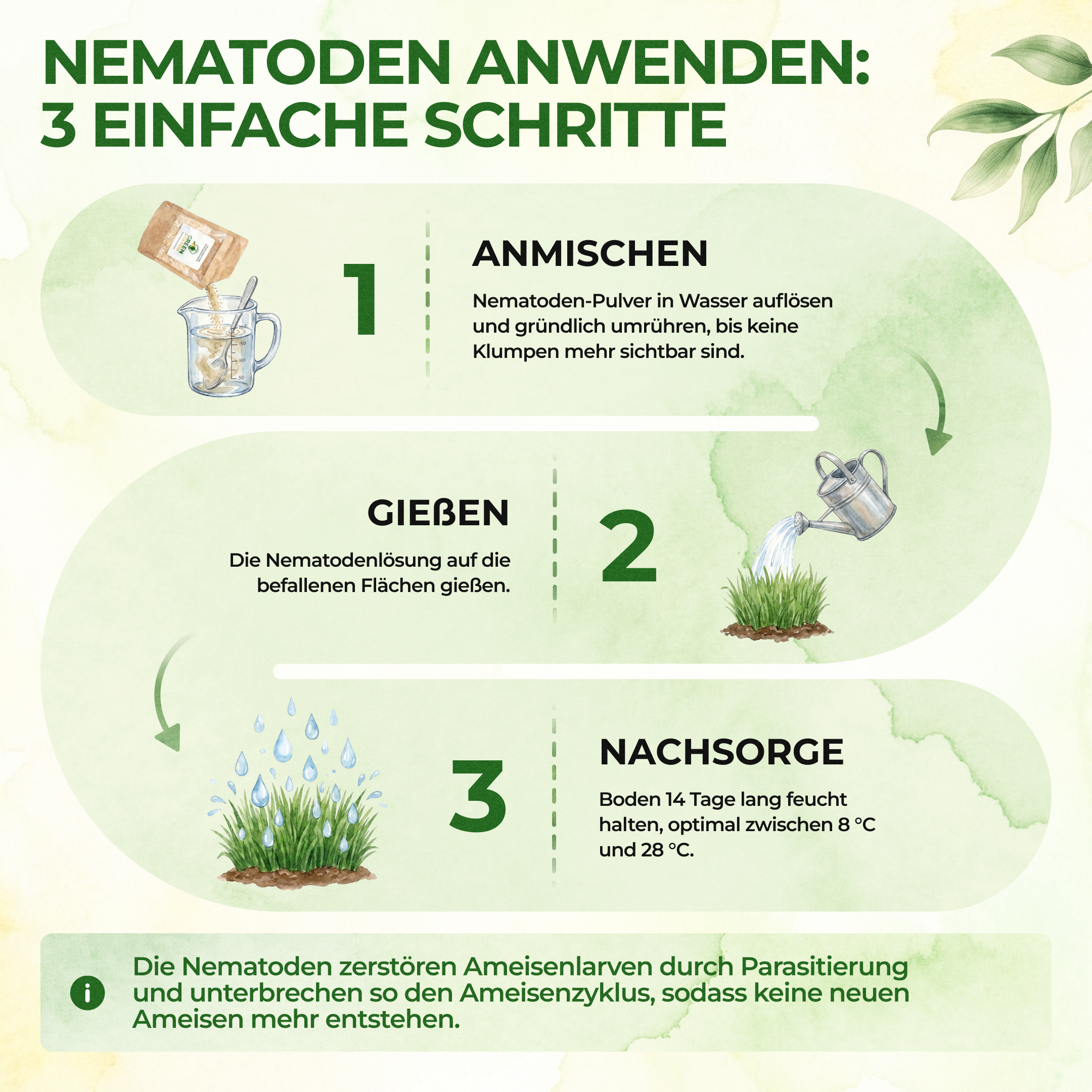 Nematoden gegen Kirschfruchtfliegen