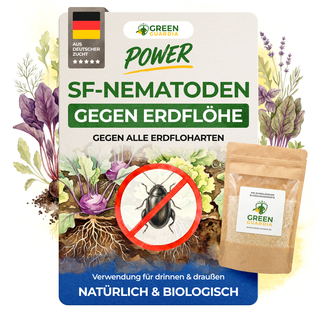 SF-Nematoden gegen Erdflöhe