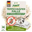 Teppichkäfer Falle