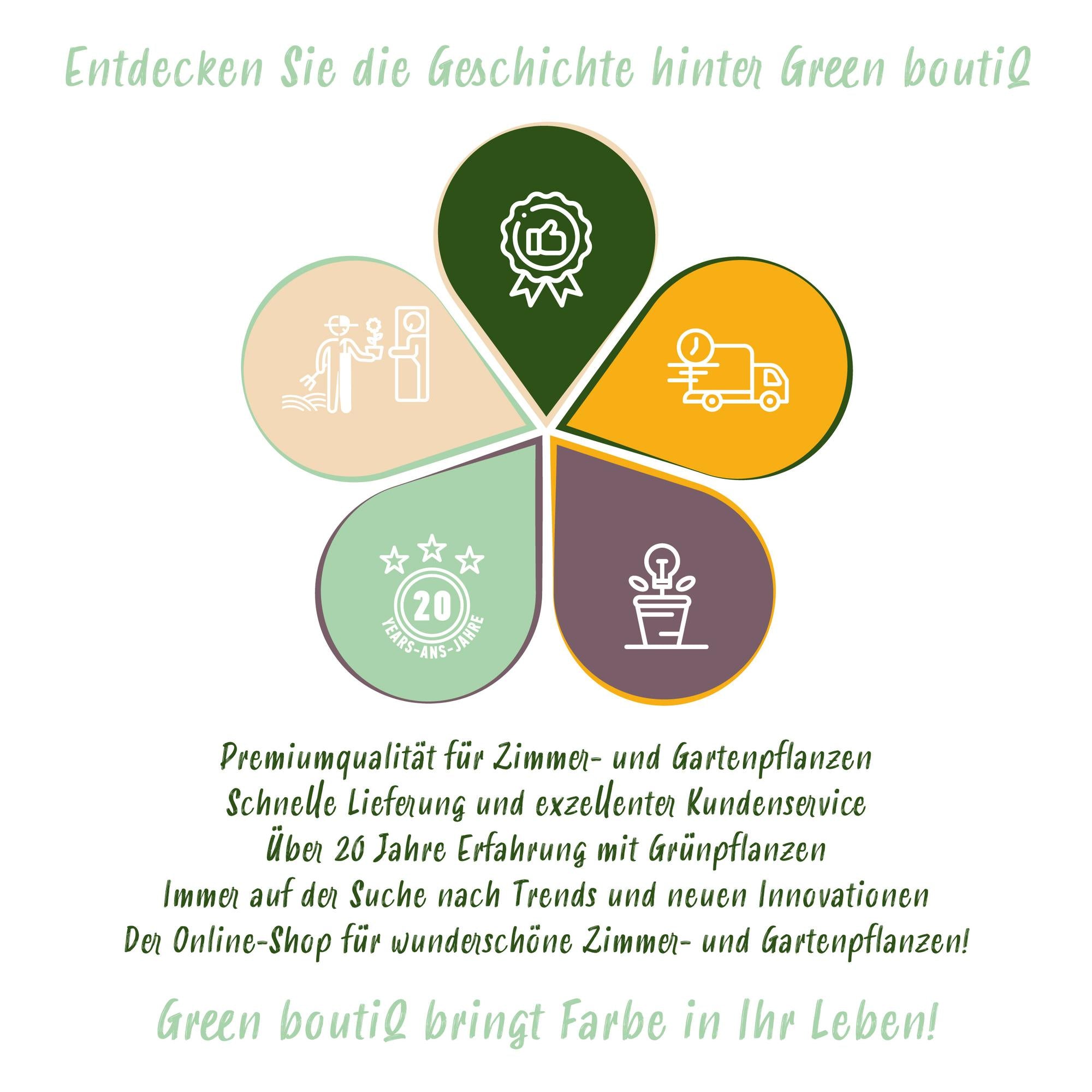 Dornlose Brombeere „Thornfree Evergreen“ – 2 kräftige Pflanzen im 11 cm Topf (ca. 40 cm)