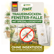 Fungus gnat window trap