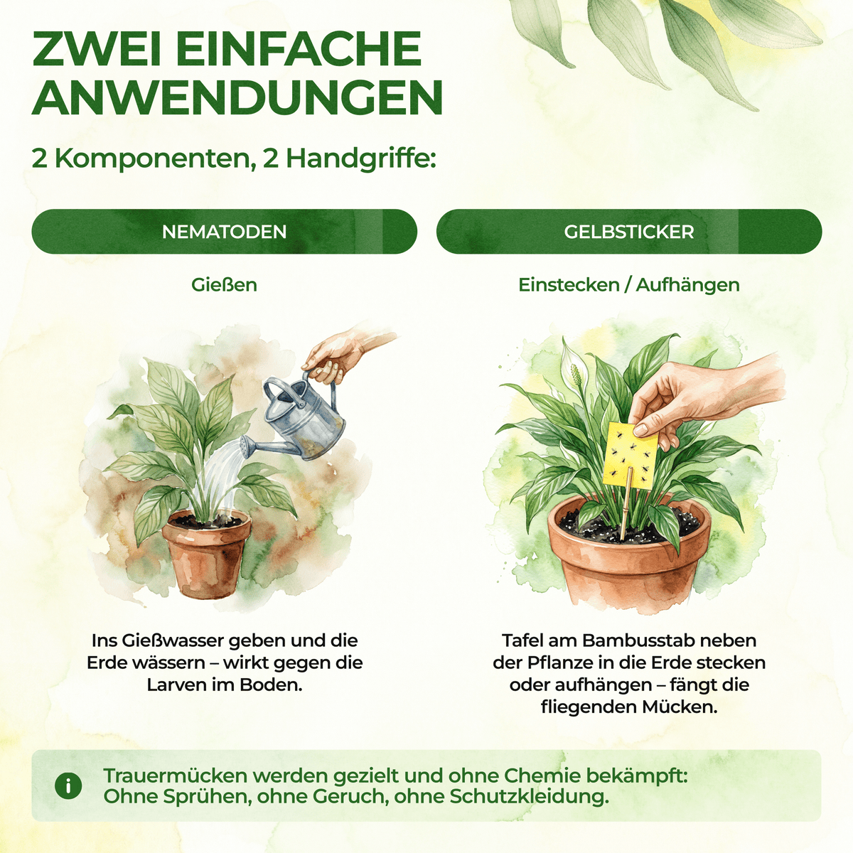 Trauermücken-Frei Set - Green Guardia - Ihr Experte für Schädlinge und Pflanzen