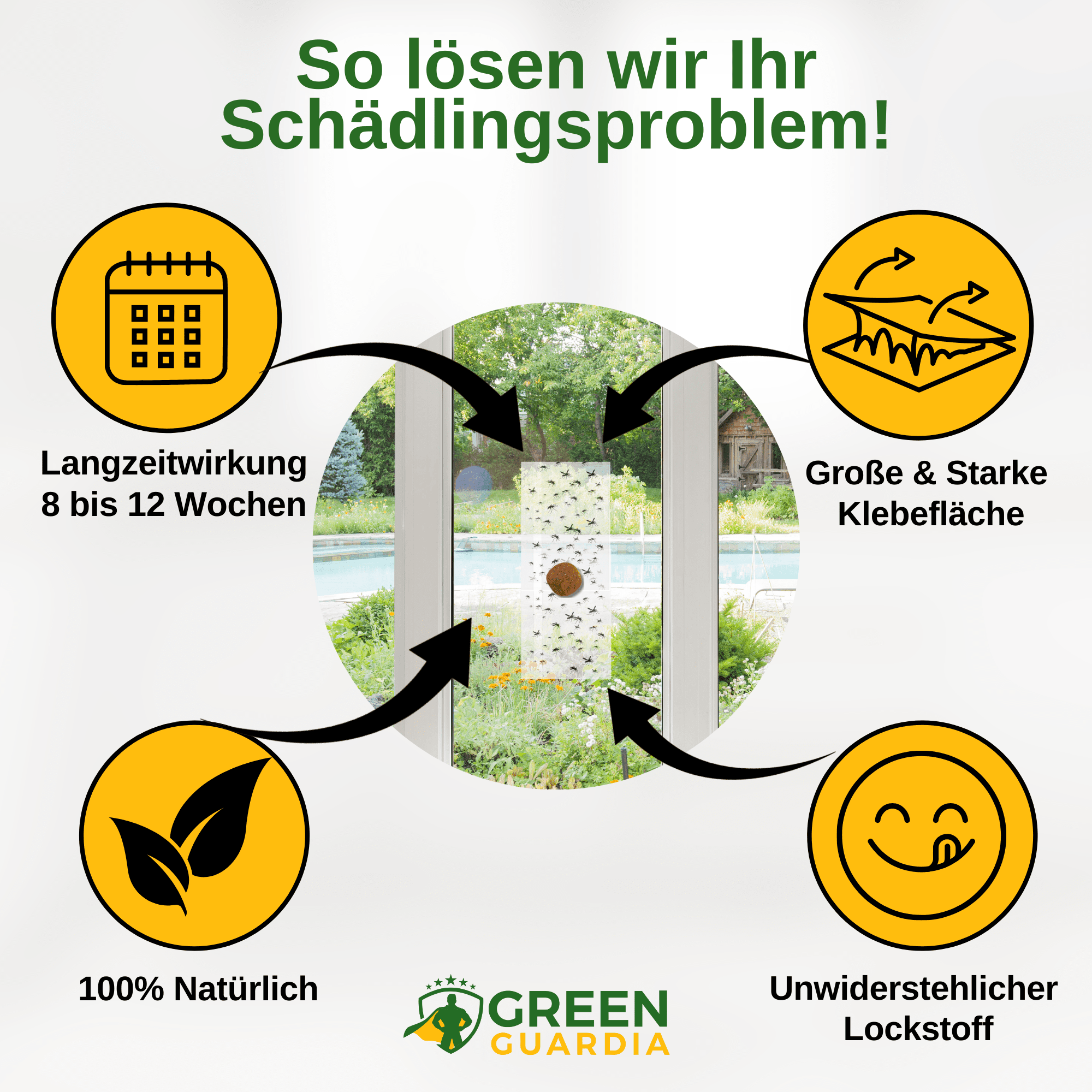 Wespen Fenster - Falle mit Spezial - Lockstoff - Green Guardia - Ihr Experte für Schädlinge und Pflanzen