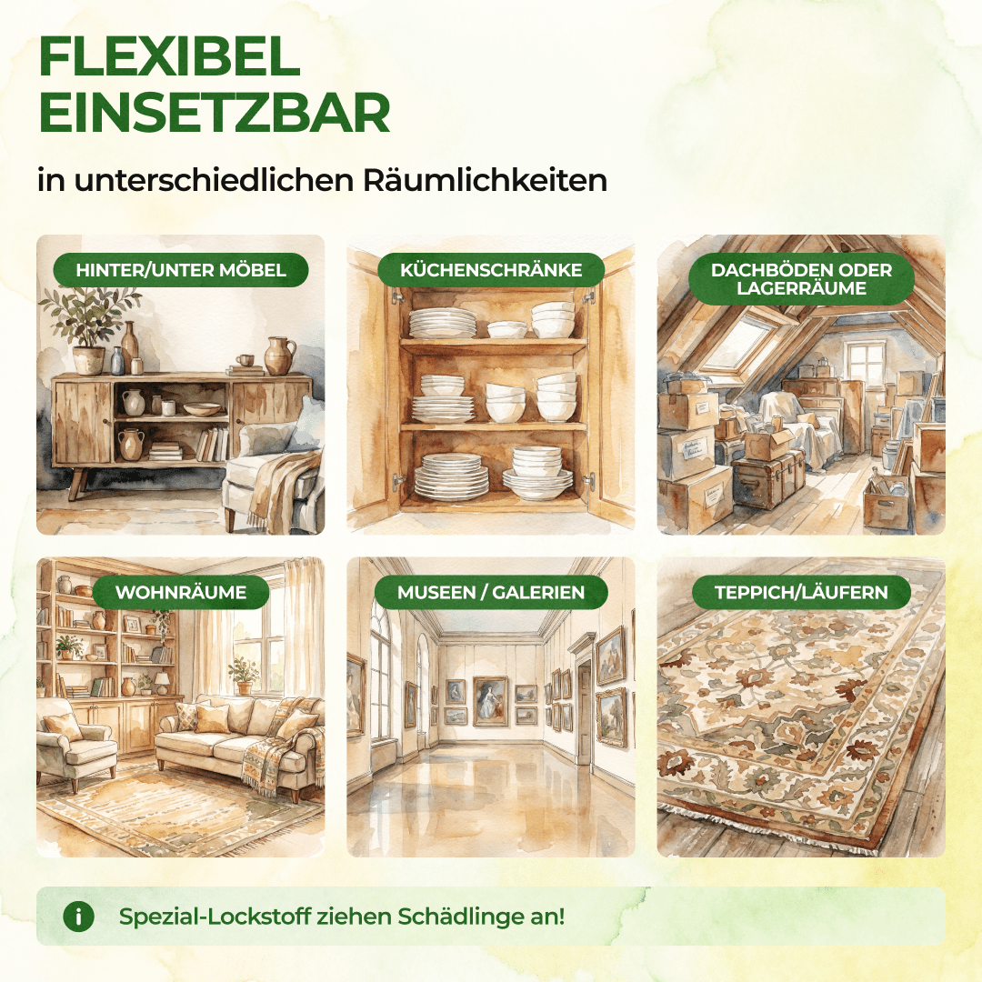 Wollkrautblütenkäfer Falle - Green Guardia - Ihr Experte für Schädlinge und Pflanzen