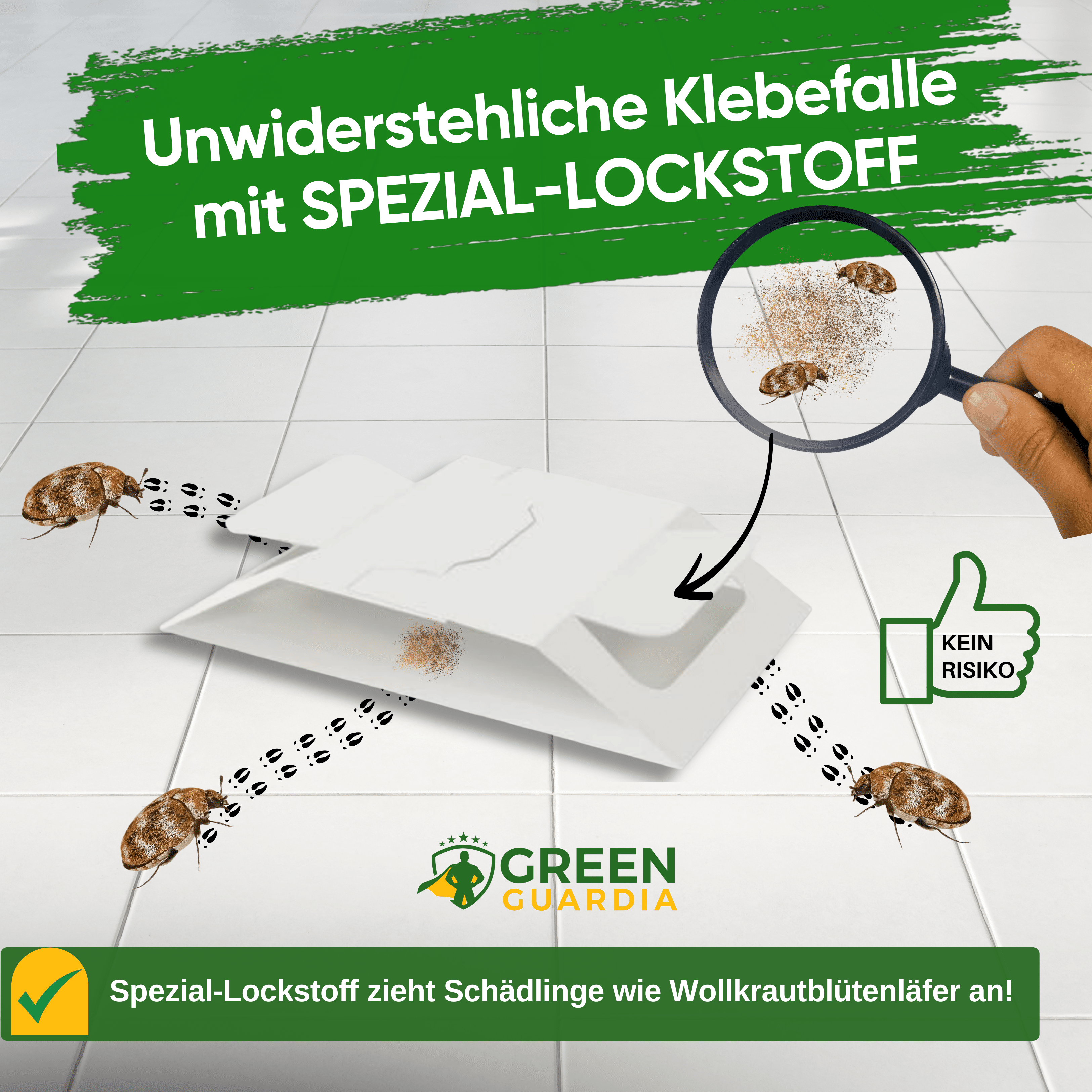Wollkrautblütenkäfer Falle mit Spezial - Lockstoff - Green Guardia - Ihr Experte für Schädlinge und Pflanzen